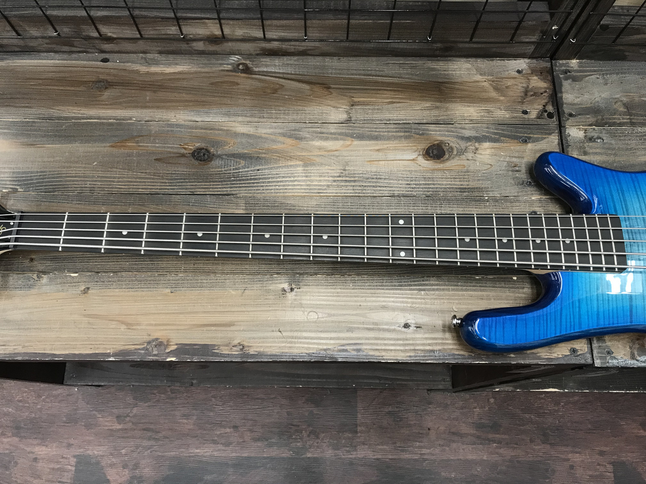 ベース Legend 5 Standard Blue Stain Gloss SPECTOR Legendシリーズ 5弦エレキベースLegend 5 Standard Blue