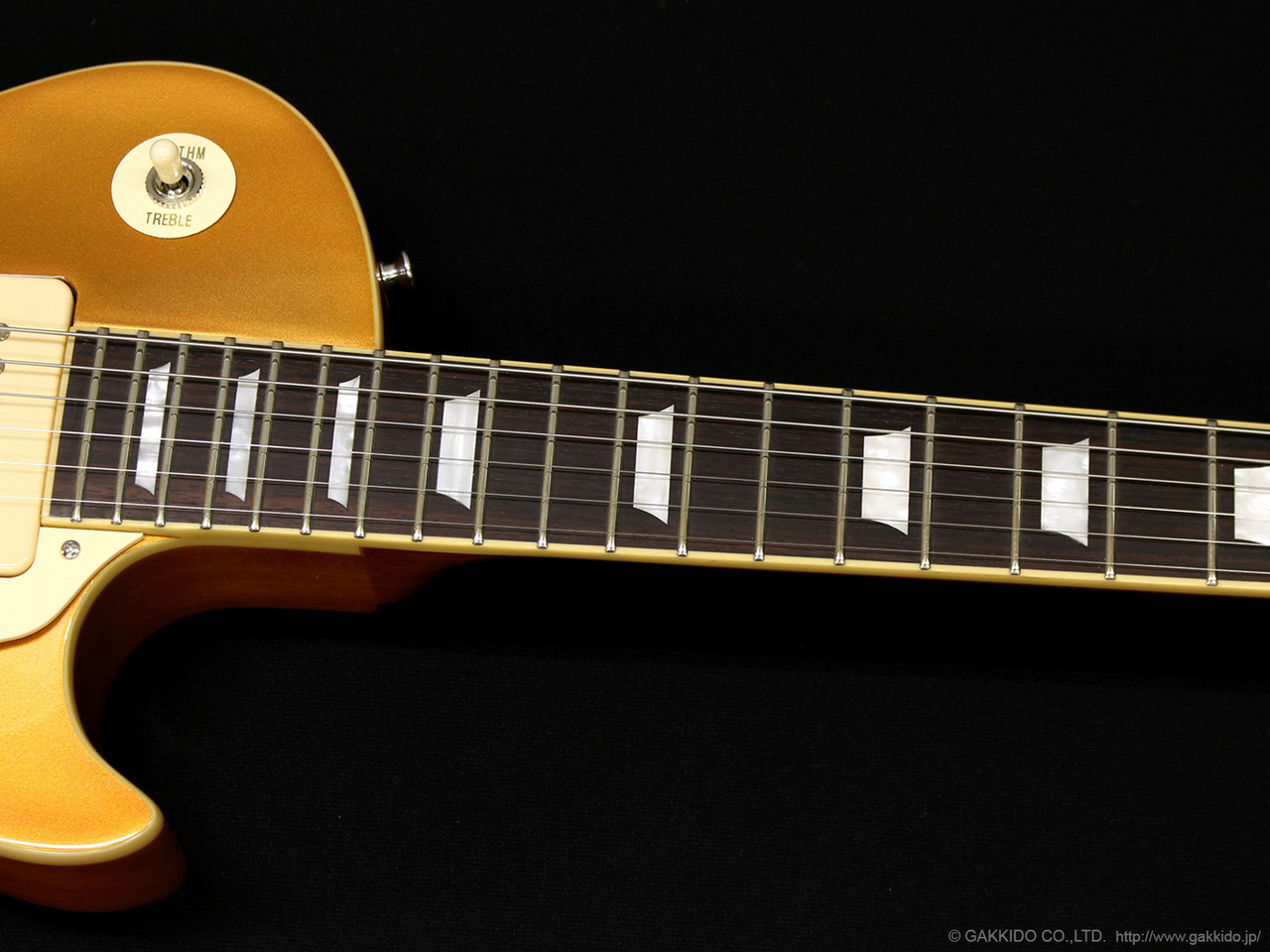 ギター EDWARDS E-LP-STD/P EDWARDS E-LP-STD/P [GOLD]（新品/送料無料）【楽器検索デジマート】