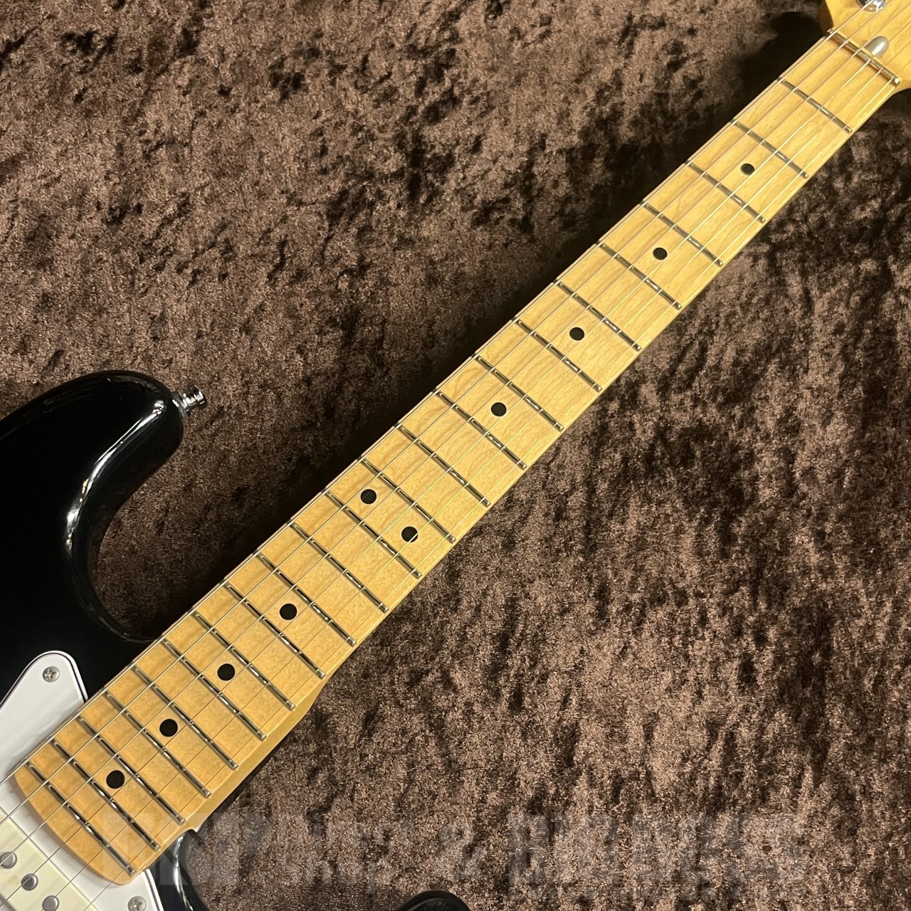ESP ESP Custom Order ST-ALM-SC（中古/送料無料）【楽器検索デジマート】