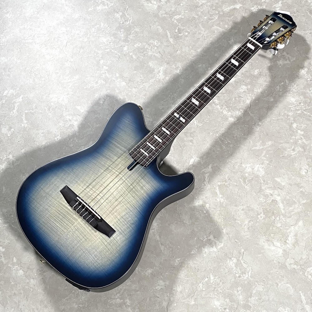 エレガットギター Ibanez FRH20QMN エレガットギター アイバニーズ 【 イオン