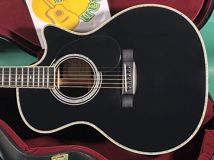 Martin CUSTOM GPC STYLE41 SGZ SUGIZOモデル Martin CUSTOM GPC STYLE41 SGZ 【日本限定】 【SUGIZO 初の