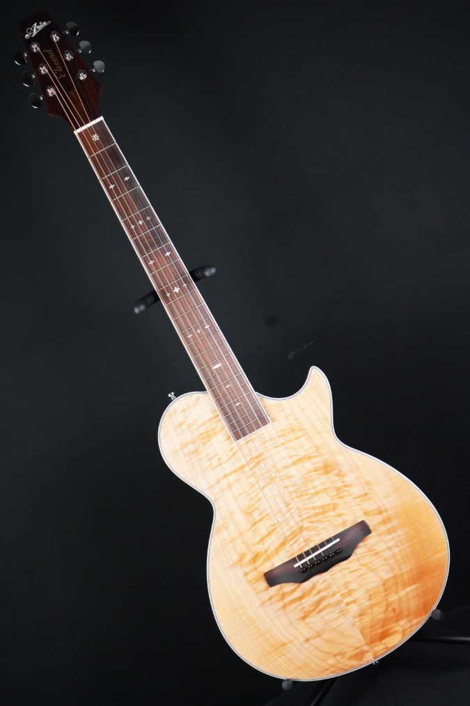 ARIA APE-100 N（新品）【楽器検索デジマート】