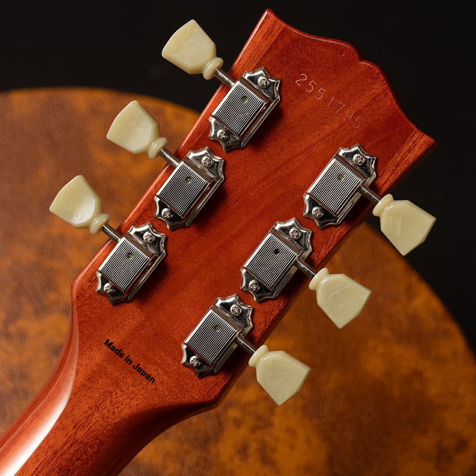 Tokai LS-301 LD (Lemon Drop)【3.77kg】（新品）【楽器検索デジマート】