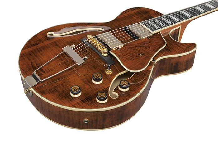 Ibanez 【スポット生産!!】AG95MG-DA(Dark Amber)【オンラインストア