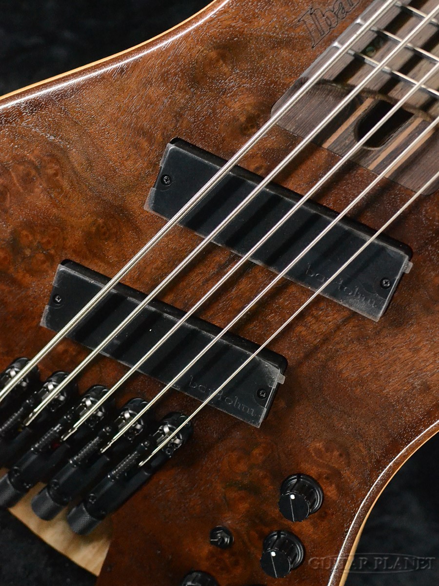 Ibanez EHB1265MS -NML (Natural Mocha Low Gloss)-【限定生産モデル