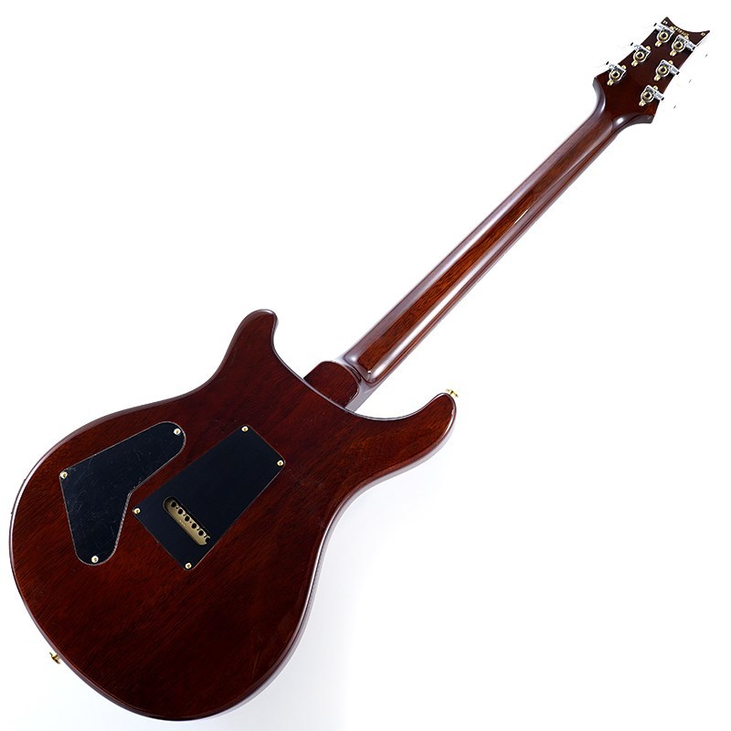 Paul Reed Smith(PRS) 2024 Custom 24 10top (Orange Tiger ) SN