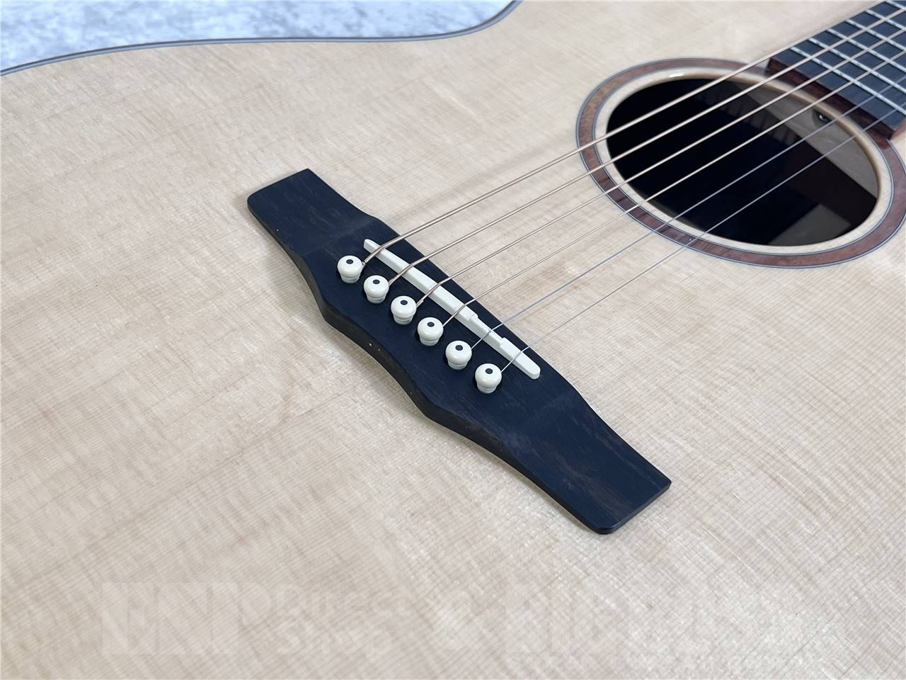Morris SC-71（新品/送料無料）【楽器検索デジマート】