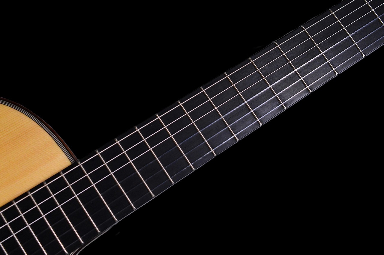 [多分希少]エレガット martinez mp-14 maple bule Amazon | マルティネス(Martinez) Crossover Series MP-14 Maple