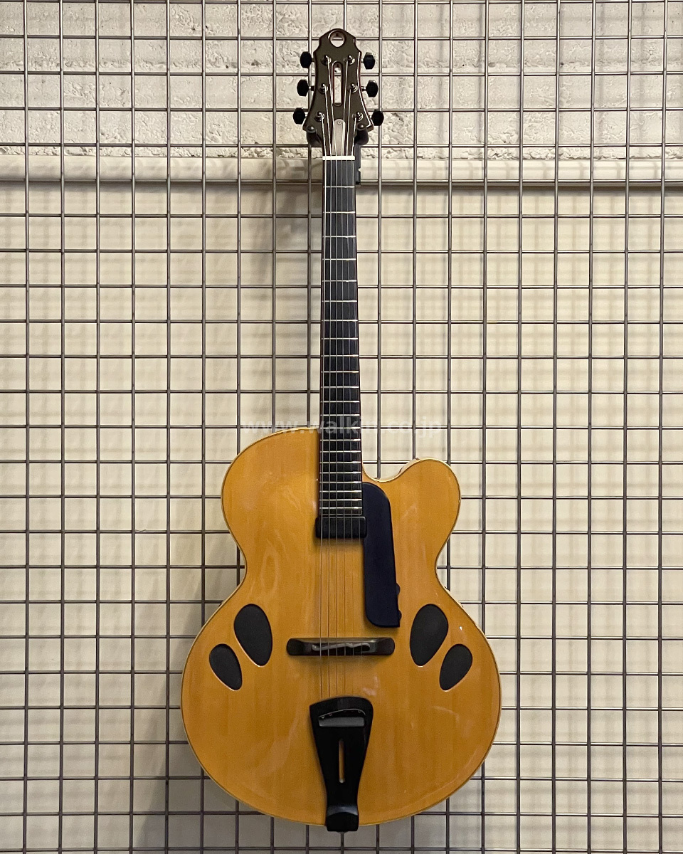 Jazz Guitar Designs Modern Master 17