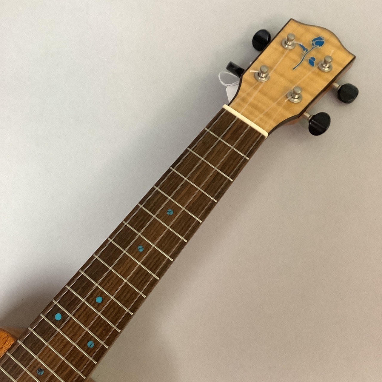 FUJIGEN(FGN) FUE-TS/T（中古/送料無料）【楽器検索デジマート】