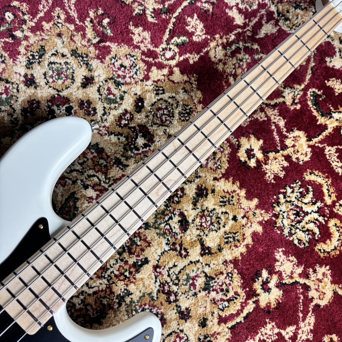 FREEDOM CUSTOM GUITAR RESEARCH (フリーダム) C.S. Anthra 4st