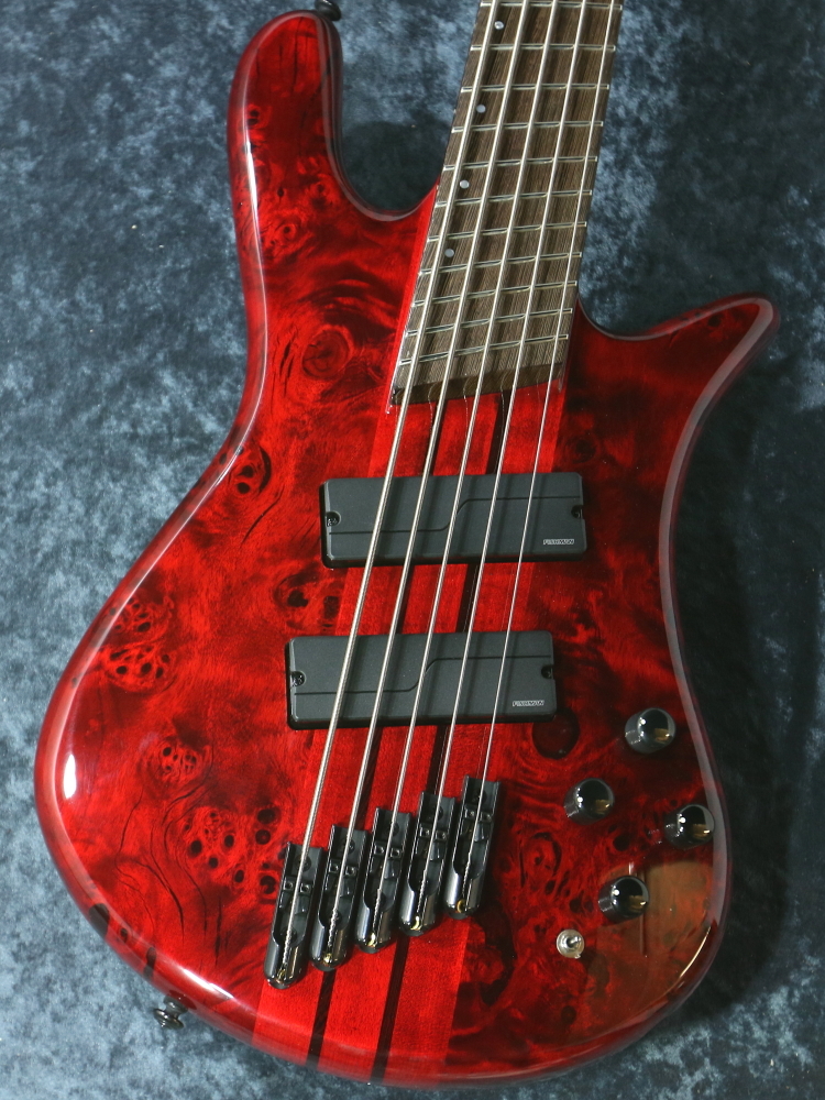Spector NS DIMENSION 5 Inferno Red【5弦】【アウトレット特価品】（B 