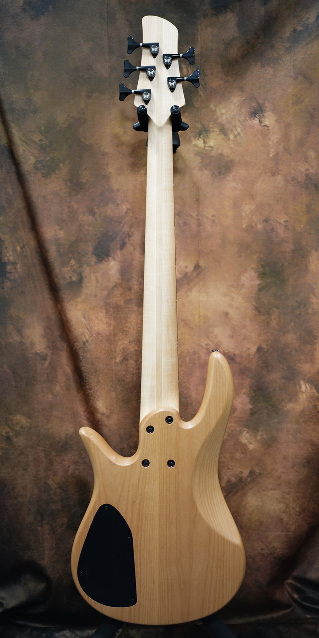 Fodera Monarch 5 Standard Special Poplar Burl（新品/送料無料 