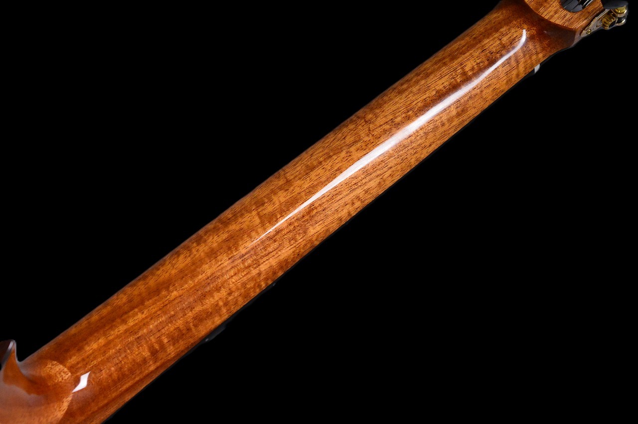 Martinez MP-14 Maple（新品/送料無料）【楽器検索デジマート】