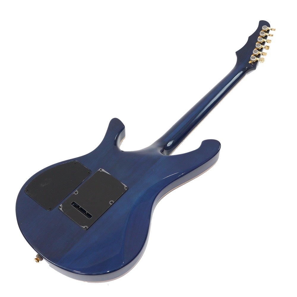 値頃☆希少品　Reunion Blues RB-G1 エレキギター用 セミハードケース 極美品 廃盤 その他