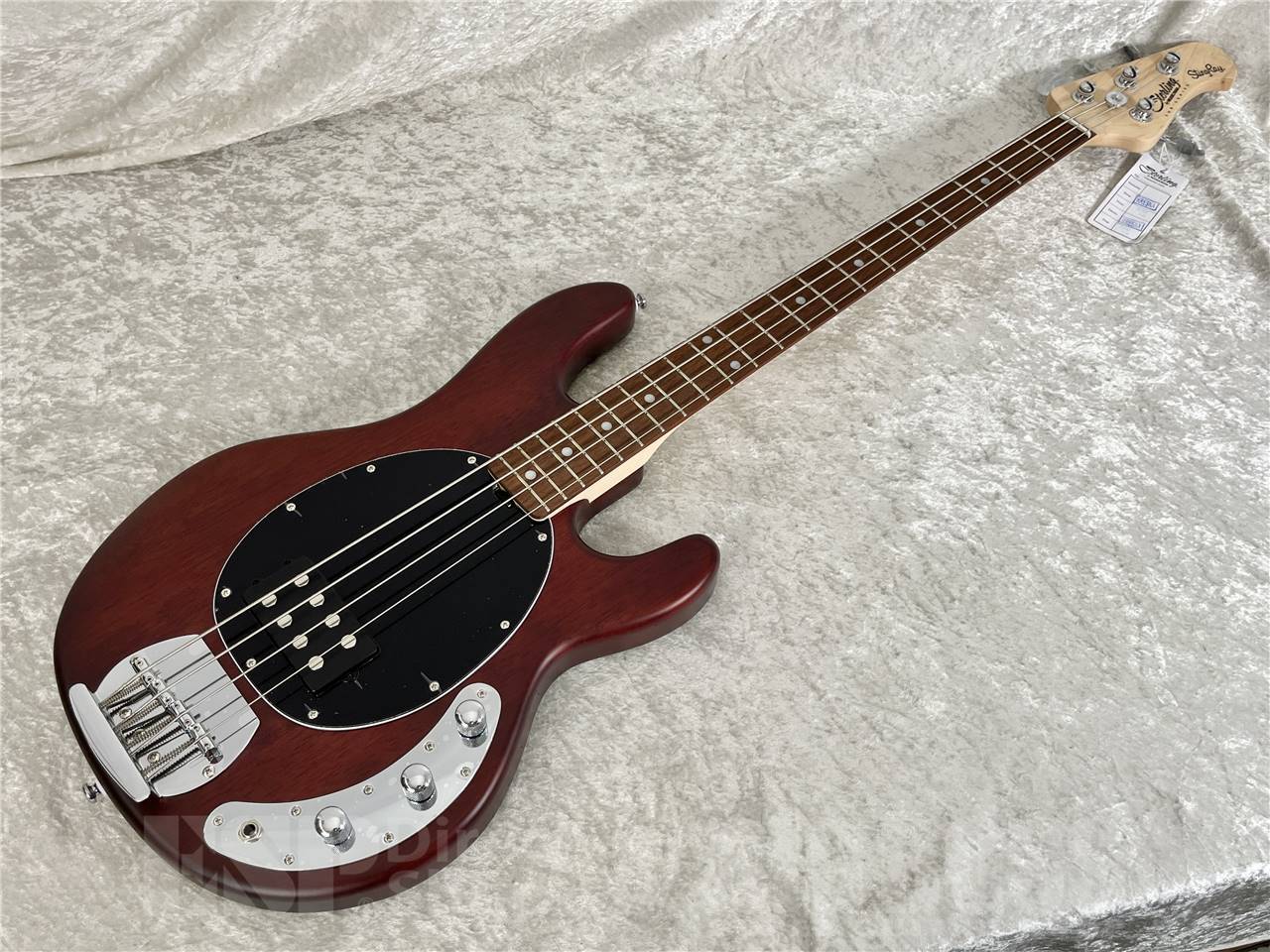 Sterling by MUSIC MAN SUB RAY4 WN//R（新品/送料無料）【楽器検索