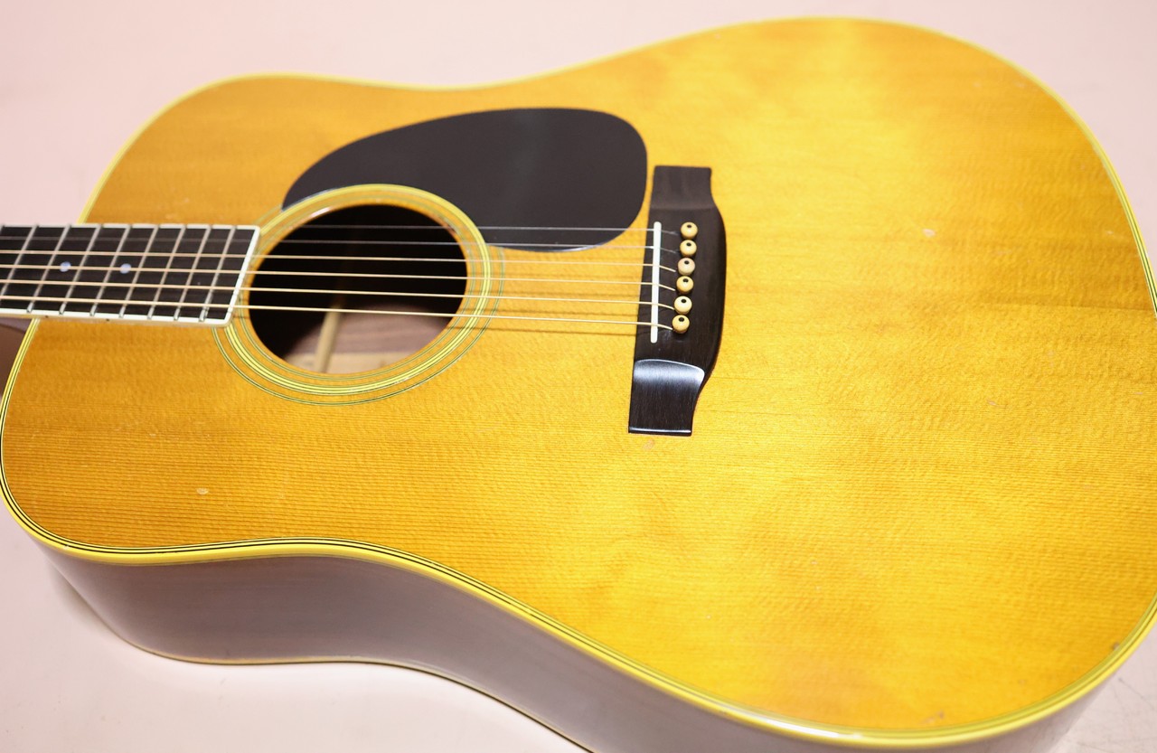Martin D-35 '73 ブルーケース付き（ビンテージ）【楽器検索
