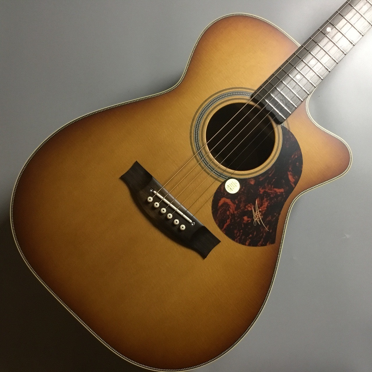 MATON EBG808C-NASHVILLE【現物写真】