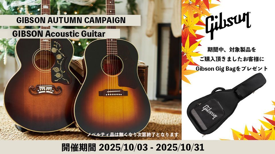 Gibson J-45 Custom Ebony（新品/送料無料）【楽器検索デジマート】