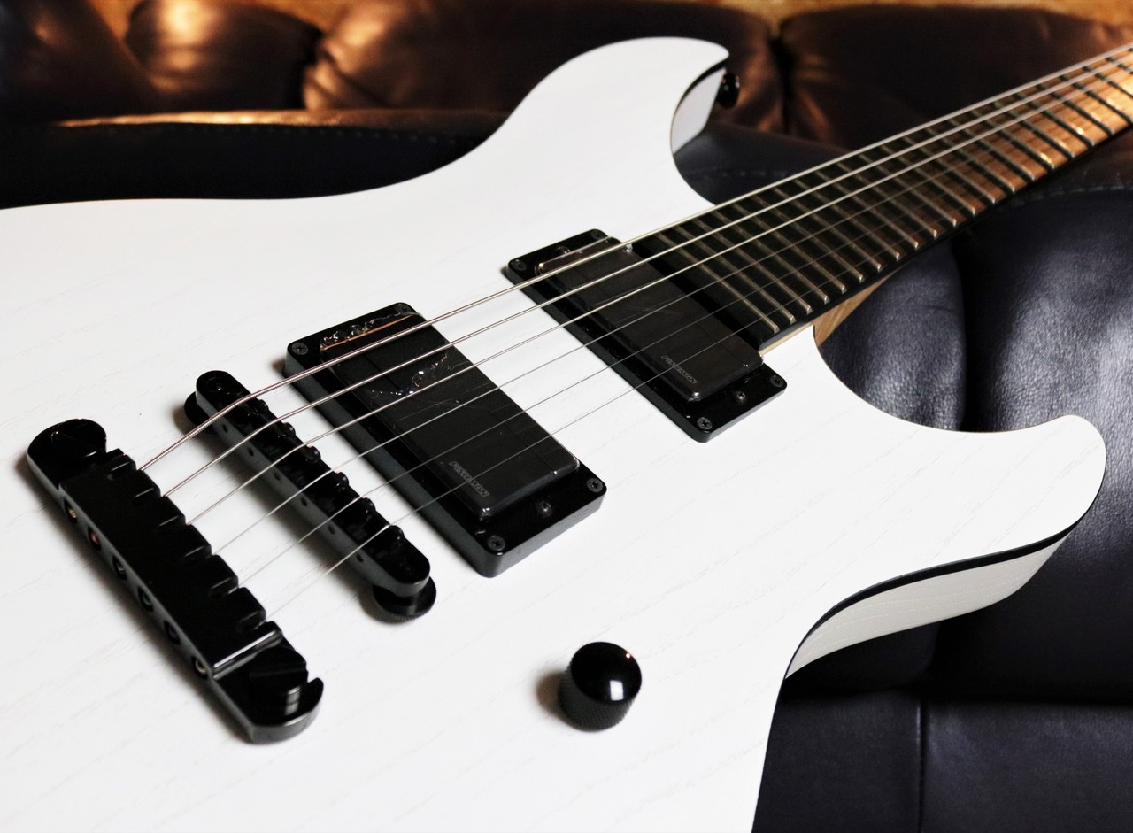 超美品] FUJIGEN（FgN） MYTHIC JMY2-ASH-E/OPW 【FISHMAN Fluence