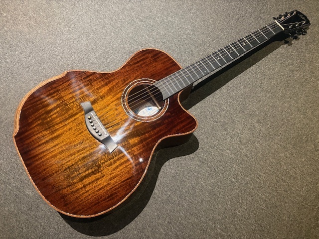 Stafford SFM-3 エレアコ（新品）【楽器検索デジマート】