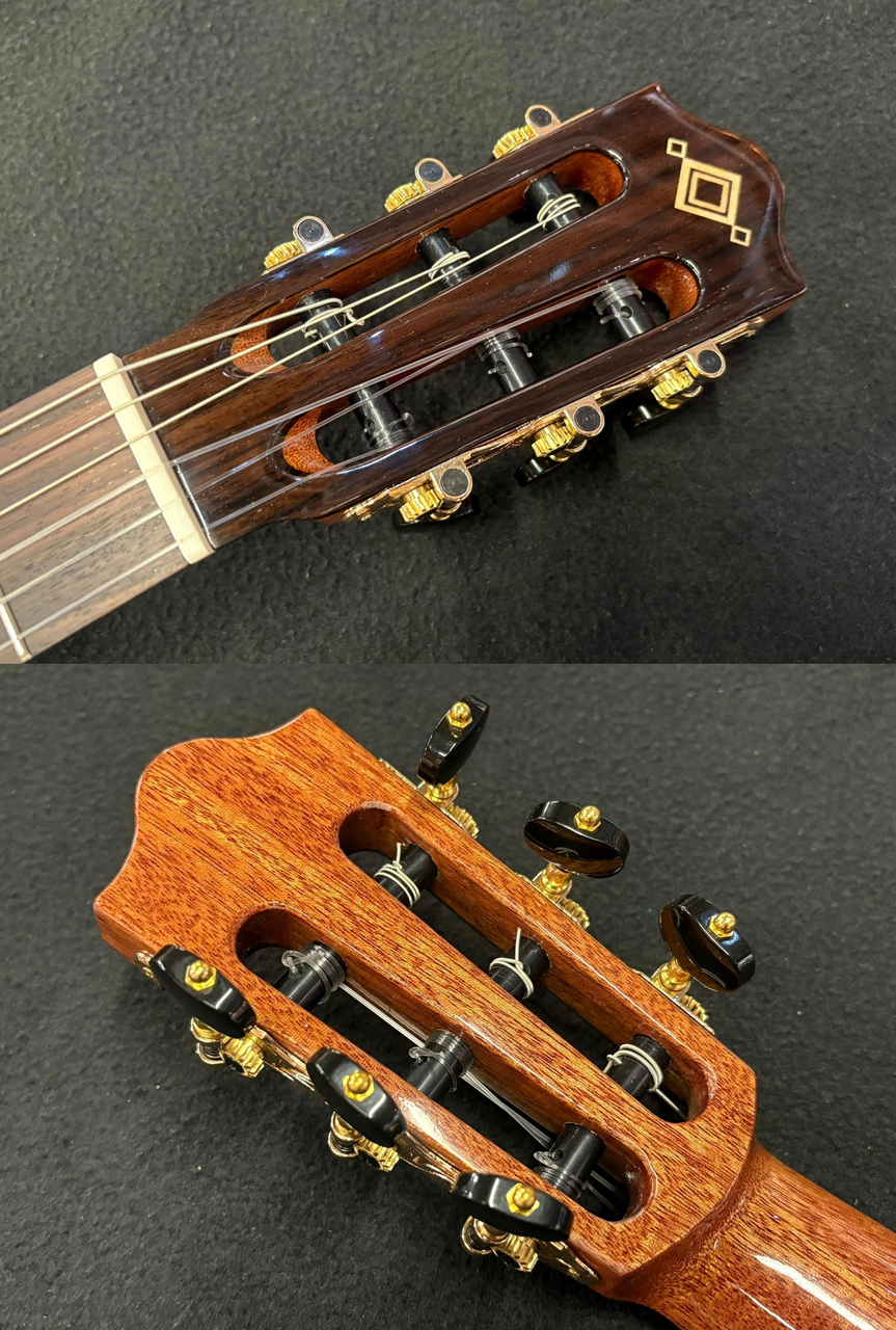 Martinez MP-14 ROSE（新品）【楽器検索デジマート】