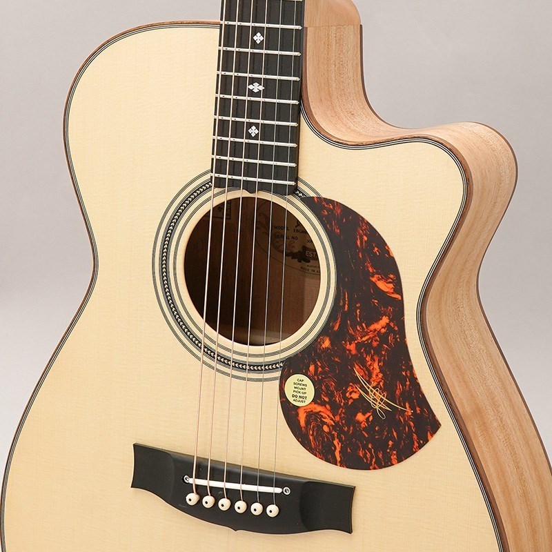 MATON 【店頭チョイキズ特価！】EBG808C MF -Michael Fix