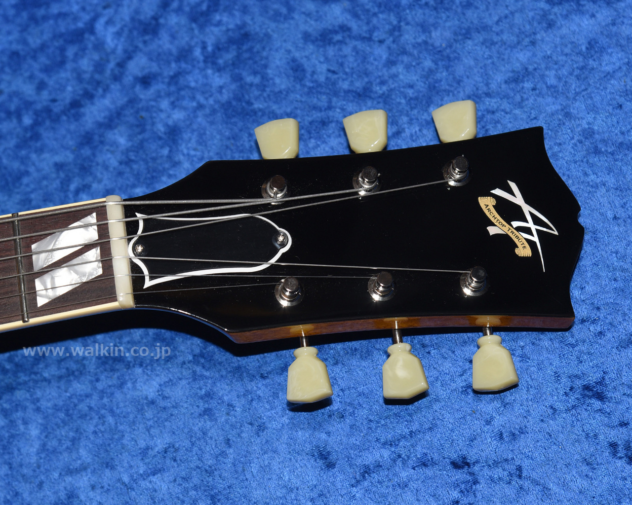 Archtop Tribute AT105（新品）【楽器検索デジマート】