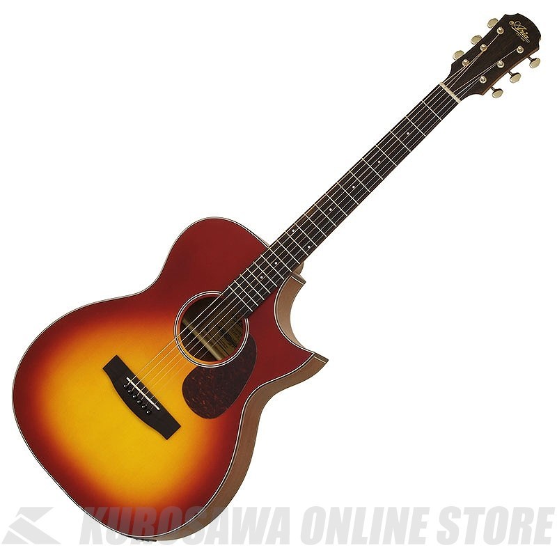 【極美品】Aria 101CE MTCS エレアコ ARIA ARIA-101CE MTCS [Aria-101 -Auditorium-] エレアコ（新品