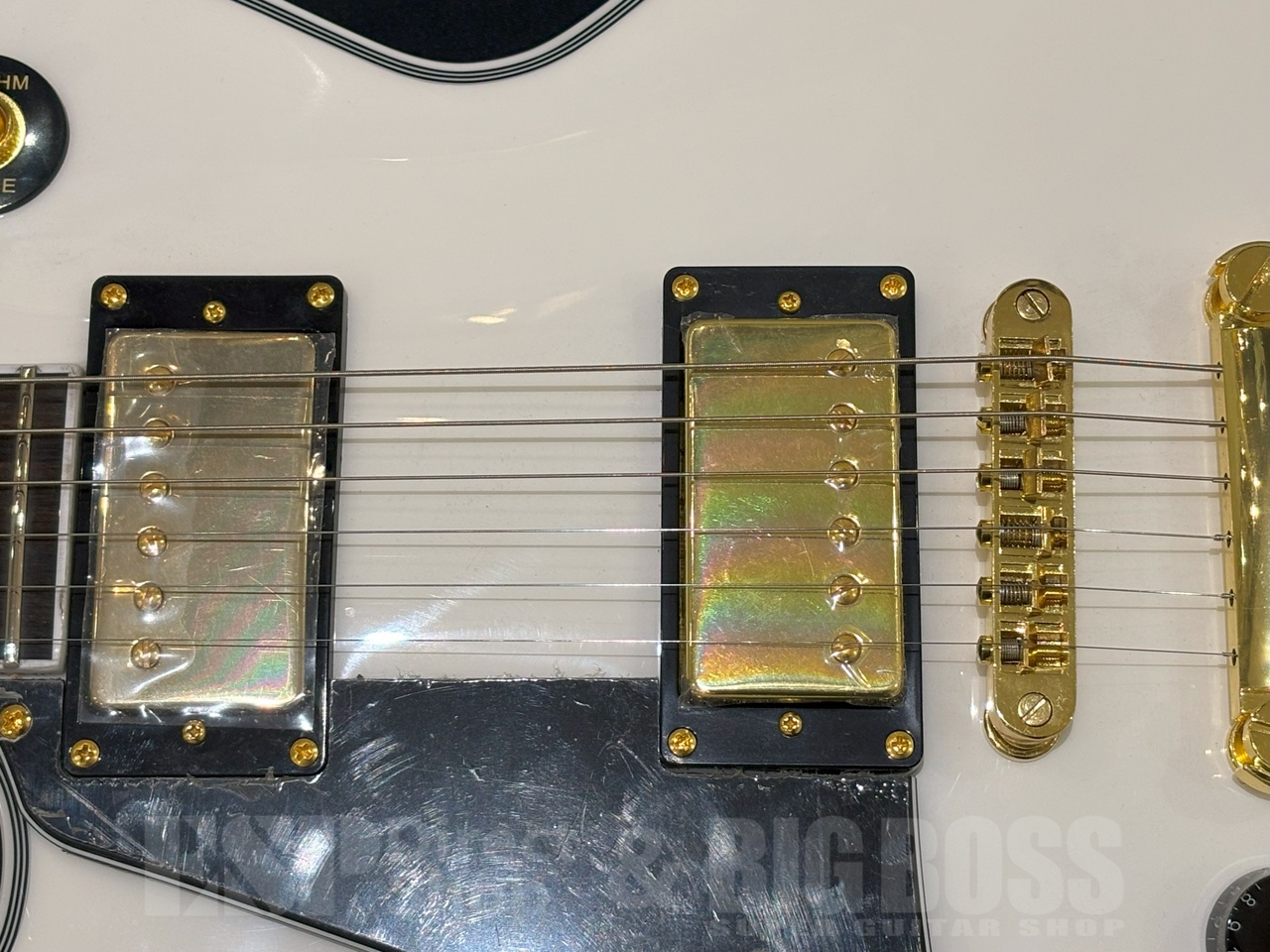 GrassRoots G-LP-CTM L/H White（新品/送料無料）【楽器検索デジマート】