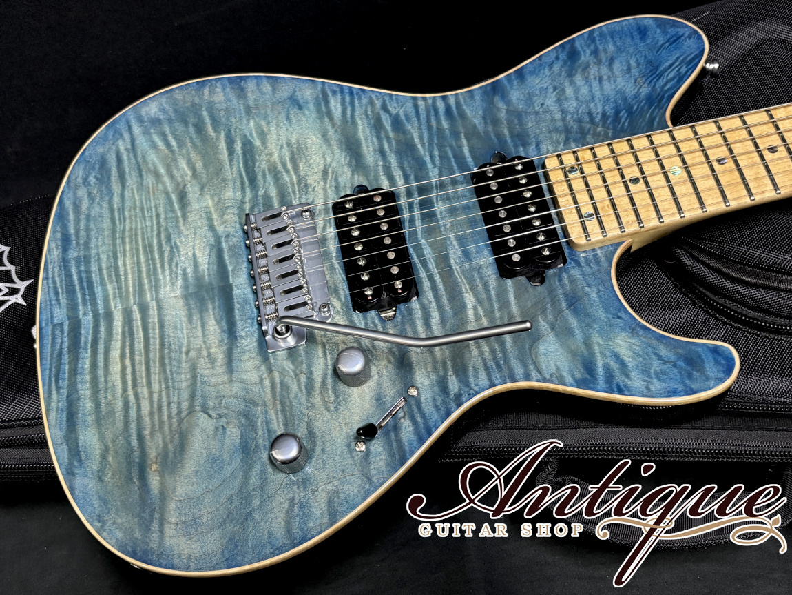 ギター sugi ds7 年間製作数が極少のDS7弦モデル。 こちらの1本はホンジュラス