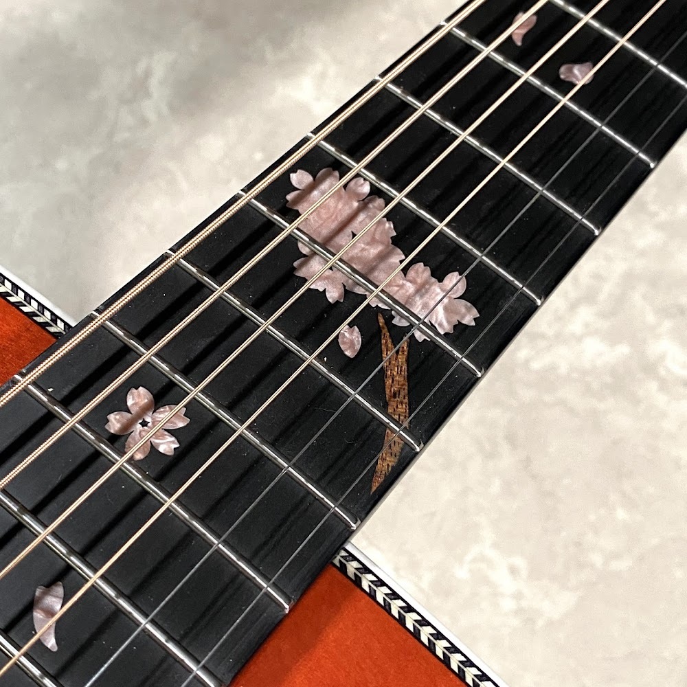 ギター hidedabi HF-SHIKIZAKURA'25/STD | Deviser ｜株式会社ディバイザー｜長野