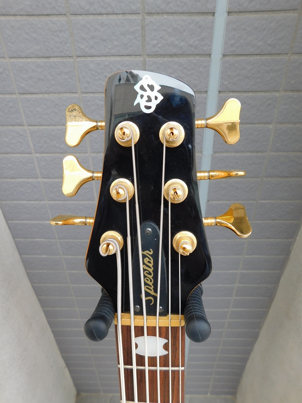 Spector EURO 6 LX Poplar Burl Top 6弦 アクティブベース（中古