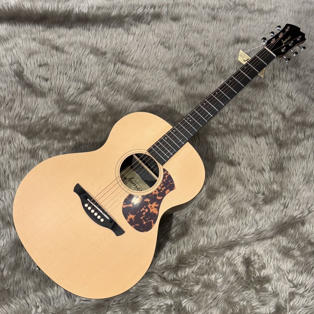 James J-100A アコースティックギター ギグケース付属 小ぶりな