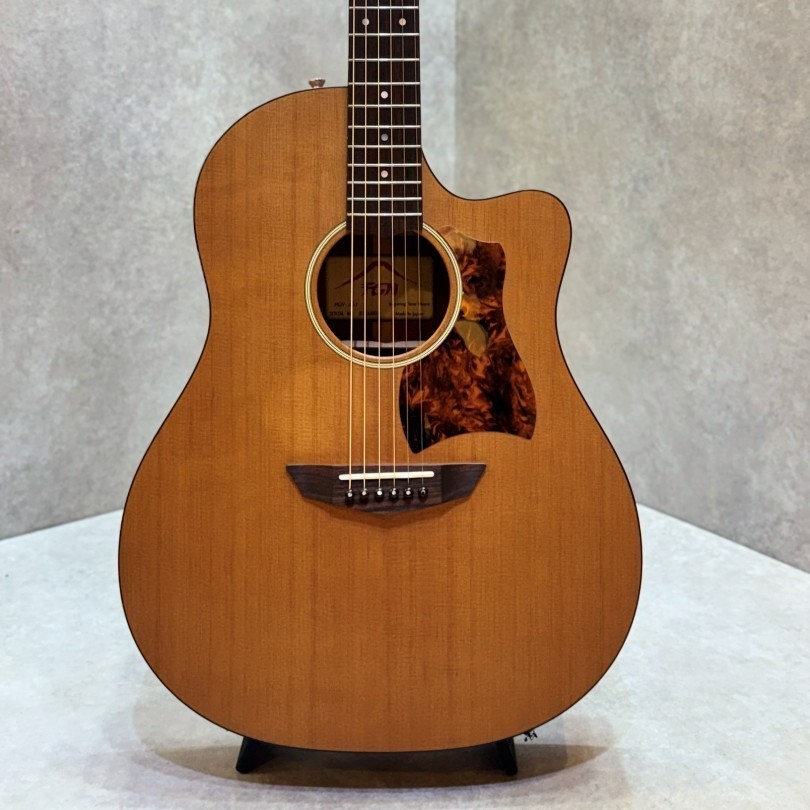 FUJIGEN(FGN) AG1（中古）【楽器検索デジマート】