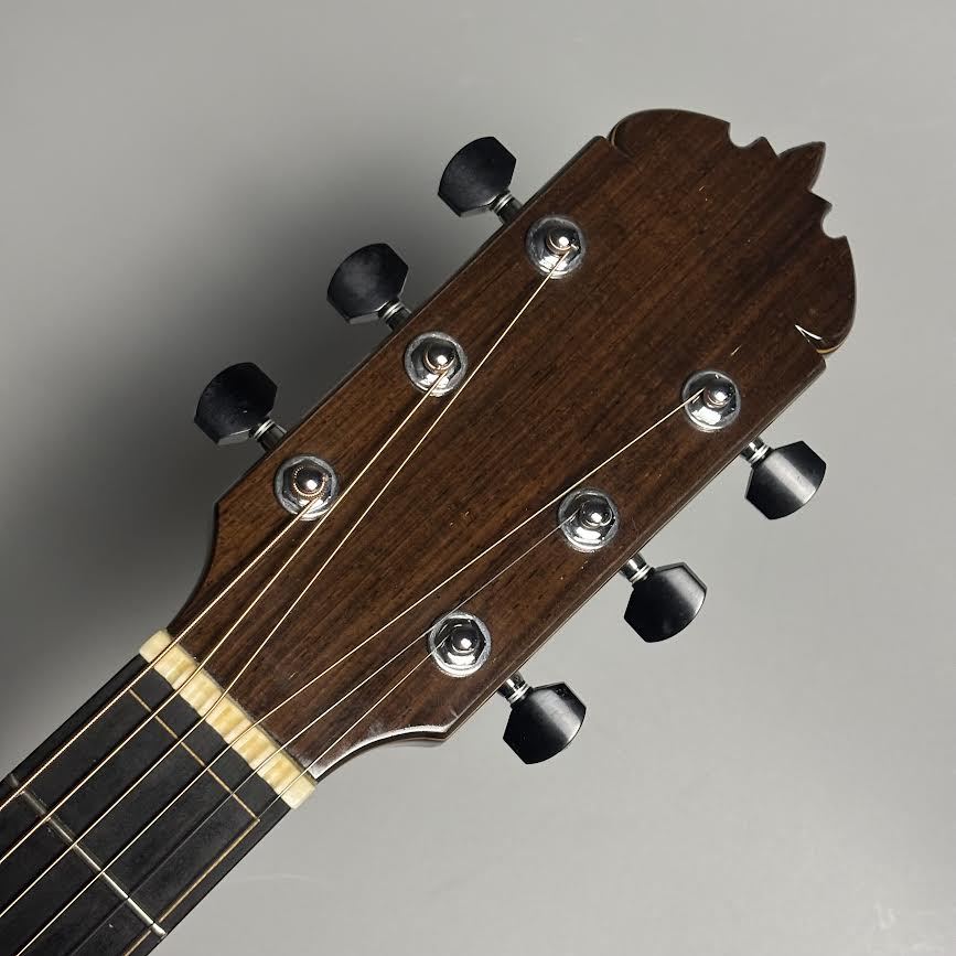 TORU FUJII GUITARS OMC-1 【SUNRISEデュアルピックアップシステム付