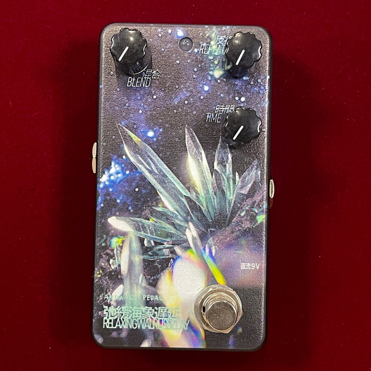 Animals Pedal 037 RELAXING WALRUS DELAY by 朝倉 涼 