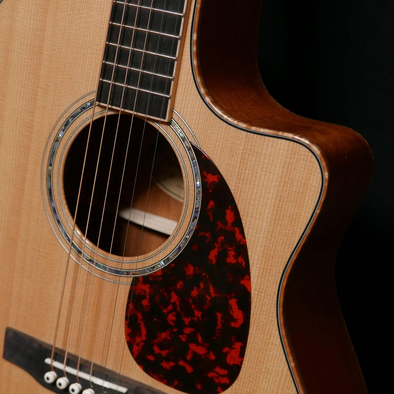 Larrivee LV-05 Select Series（新品/送料無料）【楽器検索デジマート】