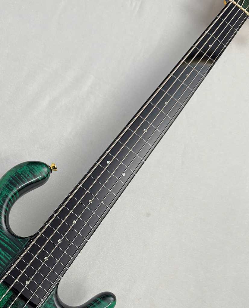 Pedulla Penta Buzz 5【USED】（中古）【楽器検索デジマート】