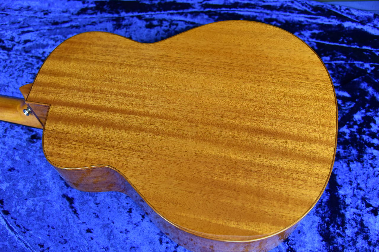 aNueNue aNN-LF23（中古）【楽器検索デジマート】