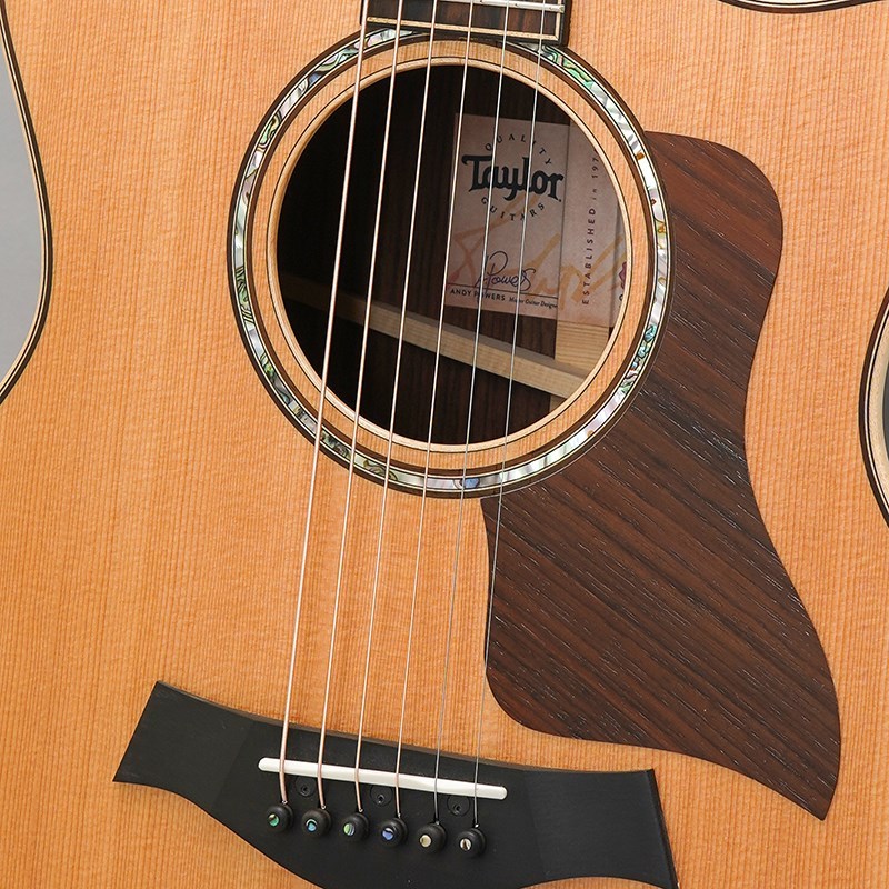 Taylor 814ce V-Class テイラー（新品）【楽器検索デジマート】