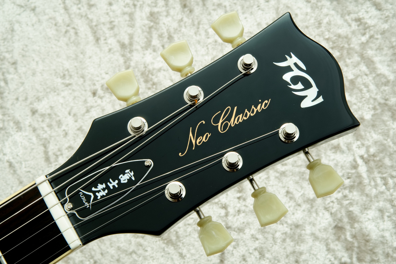 FUJIGEN(FGN) NLS10RMPTB -Black-BK【3.66kg】【薄型ボディ