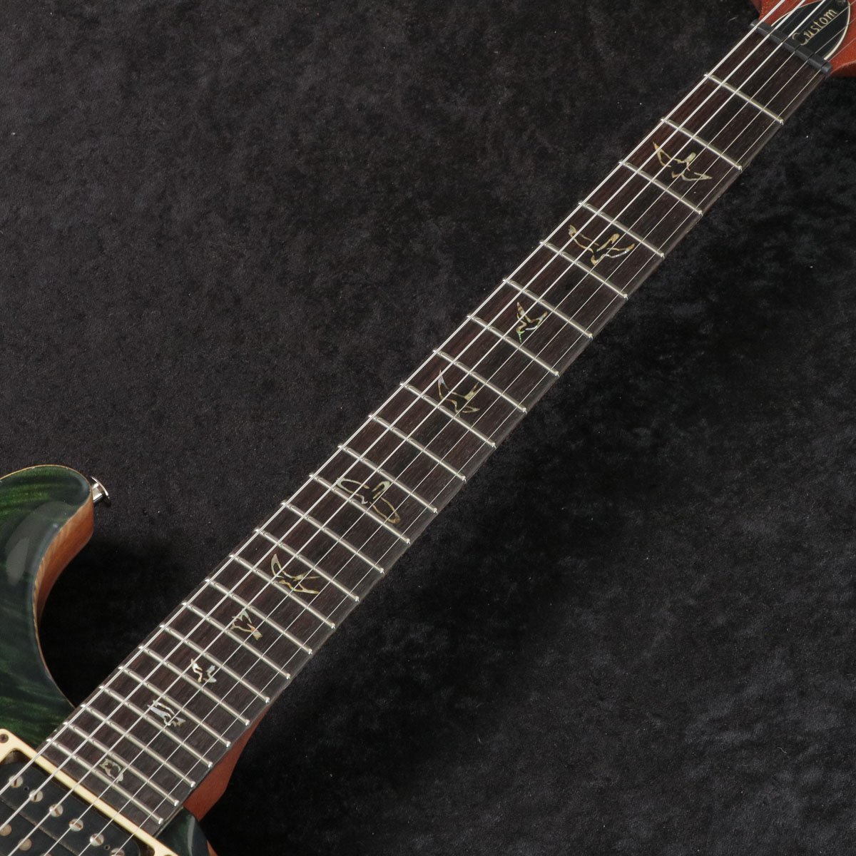 Paul Reed Smith(PRS) 2011 Custom 24 Ever Green Pattern