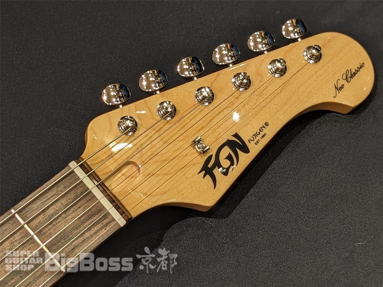 FUJIGEN(FGN) NST100RAL / Old Lake Placid（新品/送料無料）【楽器