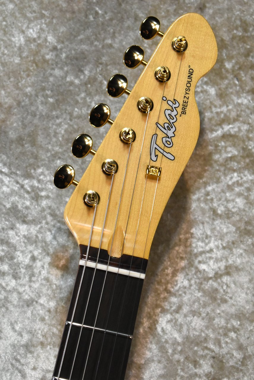 Tokai ATE-101B/G BBR #250234【待望の入荷、3.76kg】（新品）【楽器