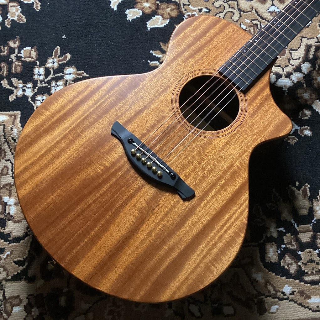 James J-300C11 SINT アコースティックギター | James J-300C