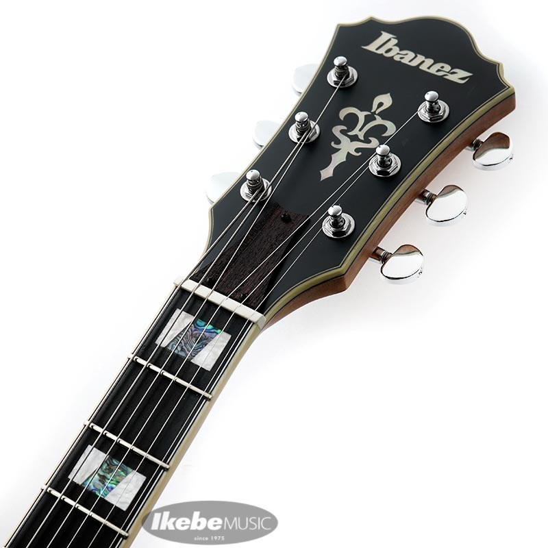 Ibanez ARTSTAR ASV113-RNT 【特価】（新品特価）【楽器検索デジマート】