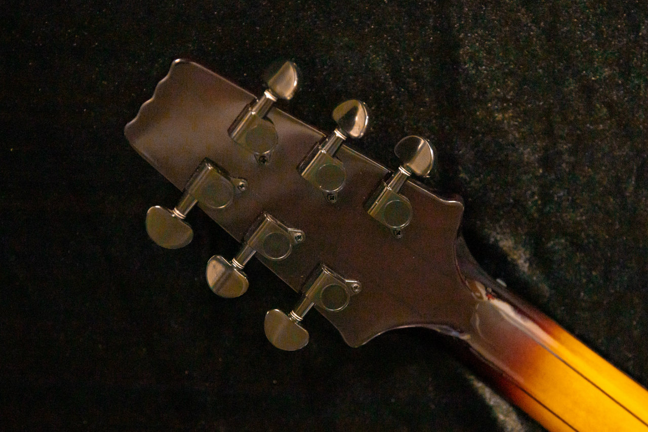 Aria Pro II Full Acoustic Guitar w/BIGSBY Tremolo【Guitar Shop