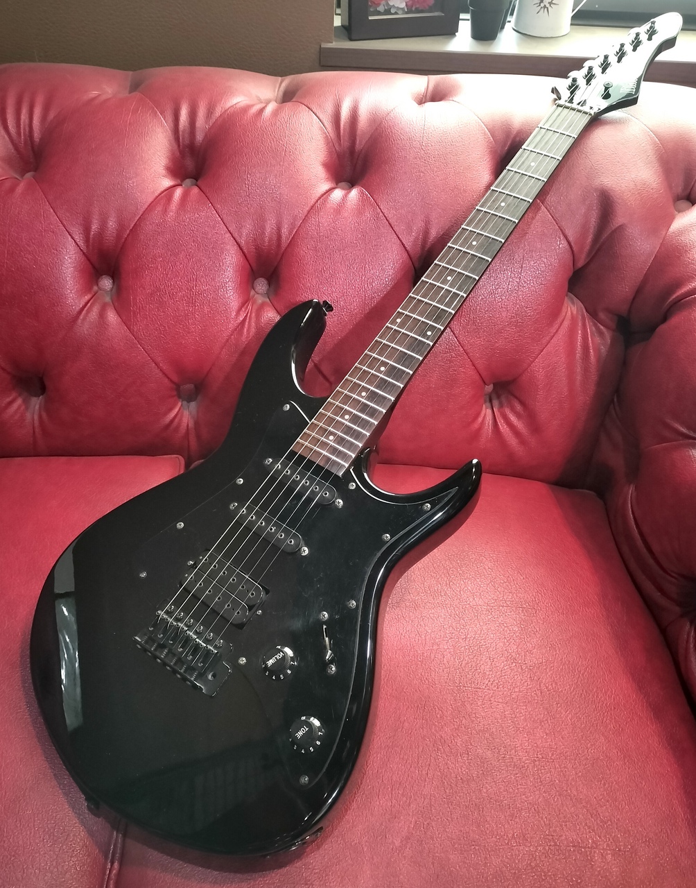 Black Dog by Aria Pro II | ギターいじりは楽しい！