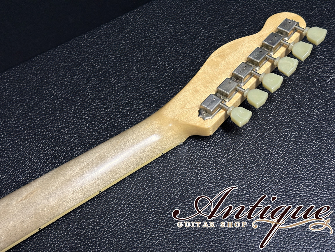 Bruno Guitars TN-295 Semi-Hollow 2024 Brass Powder Gold Aged